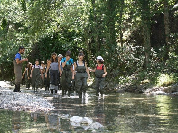 Gita a Viggianello, con l'attività dell'Acqua-Trekking e la visita all'area faunistica del cervo - immagine 5